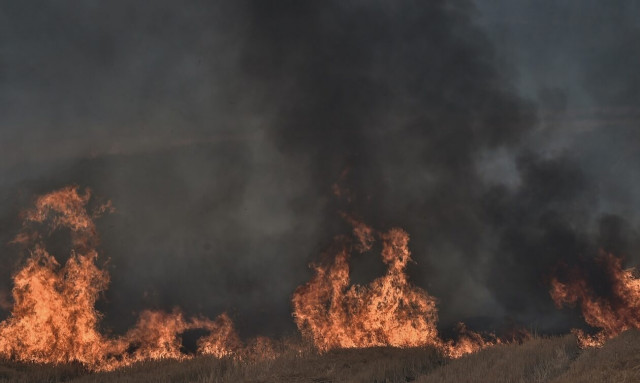 Η φωτιά στον Βαρνάβα προκλήθηκε από αυτοκίνητο που τυλίχθηκε στις φλόγες