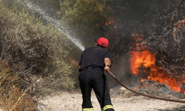 Φωτιά, Εύβοια 