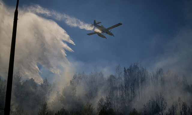 Φωτιά στην Ηλεία: Kράτηση του 65χρονου για απόπειρα εμπρησμού από πρόθεση διέταξε η εισαγγελέας