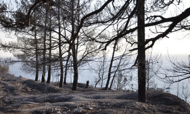 Χίος: Υπό έλεγχο η πυρκαγιά
