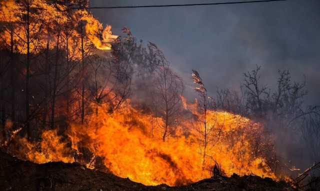 Φωτιές: Μπαράζ συλλήψεων για εμπρησμούς - Υψηλός κίνδυνος πυρκαγιάς και σήμερα