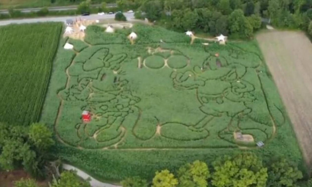 Γερμανία: Γιγάντιος λαβύρινθος στο σχήμα του Μίκυ και της Μίνι για τα 100 χρόνια της Disney