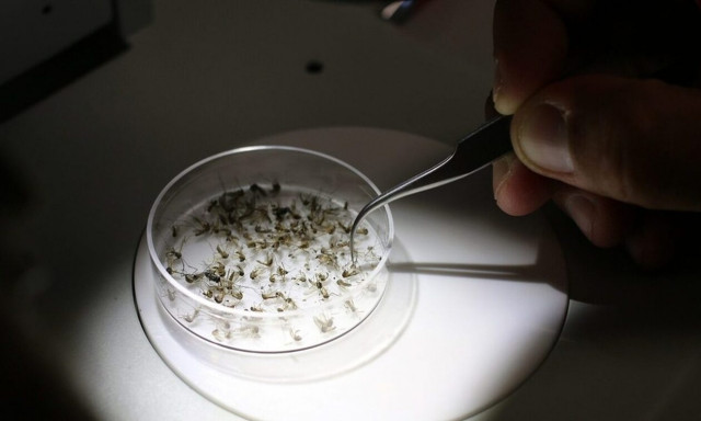 ιός δυτικού Νείλου