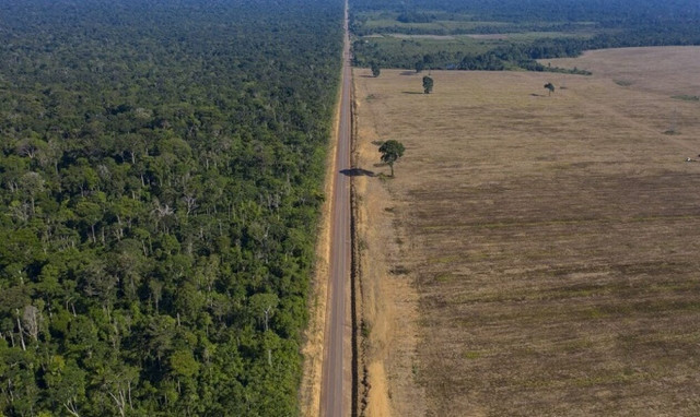 Μειώνεται σταδιακά η αποψίλωση του Αμαζόνιου: Ήταν προεκλογική δέσμευση του Λούλα ντα Σίλβα