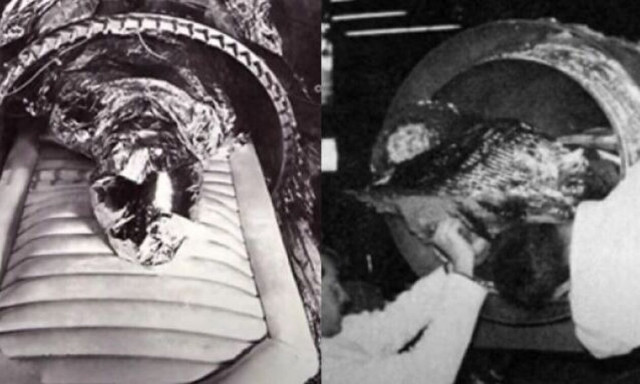 Ο πρώτος άνθρωπος που προσπάθησε να «παγώσει» τον χρόνο: Βυθίστηκε σε υγρό άζωτο