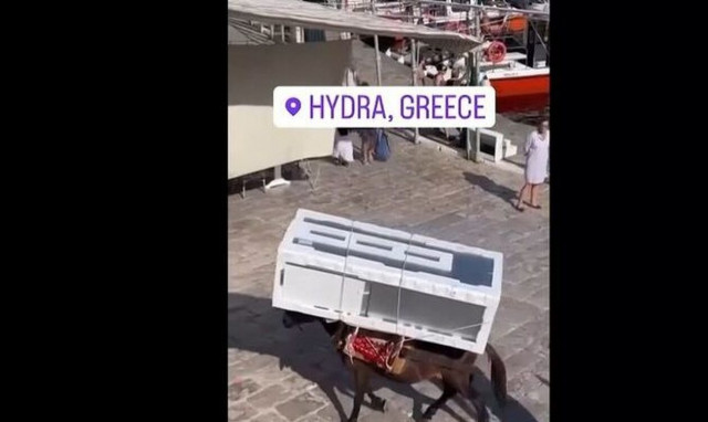 Υδρα: «Δεν είναι κακοποίηση ζώου, είναι η καθημερινότητα του νησιού», λέει ο δήμαρχος