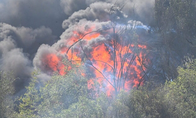 Στα «μαλακά» για εμπρησμό στην Αγχίαλο - Με πατάκι έσβησε τη φωτιά ο Διοικητής της Πυροσβεστικής