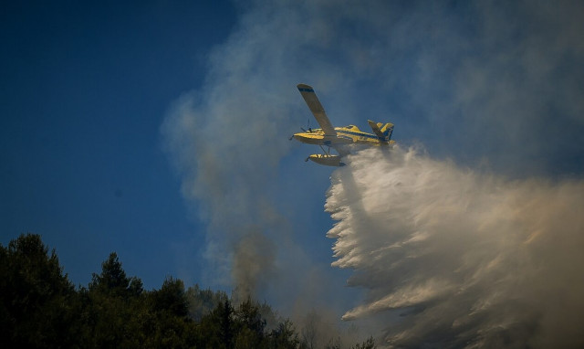 Φωτιά τώρα σε δασική έκταση στα Φάρσαλα: Επιχειρούν επίγειες και εναέριες δυνάμεις