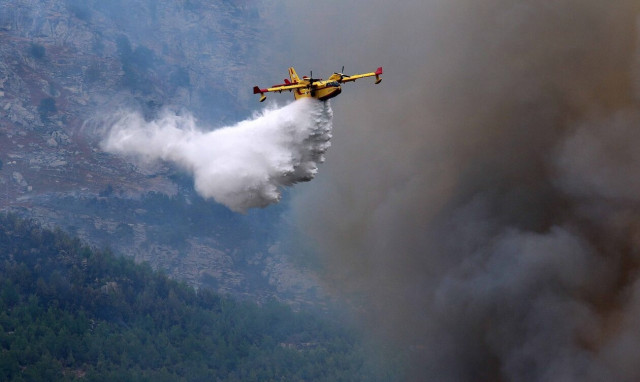 Φωτιά στη Φθιώτιδα: Πέθανε ο μελισσοκόμος που είχε υποστεί εγκαύματα