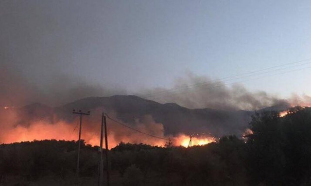 Φωτιά στη Μάνη: Ισχυρές επίγειες δυνάμεις στο Πάλιρο