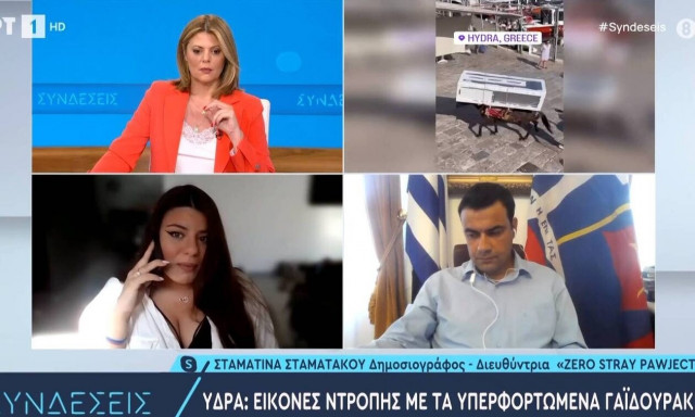 Δήμαρχος Ύδρας για το γαϊδουράκι που φορτώθηκε ψυγείο: «Γίνεται 200 χρόνια στο νησί»