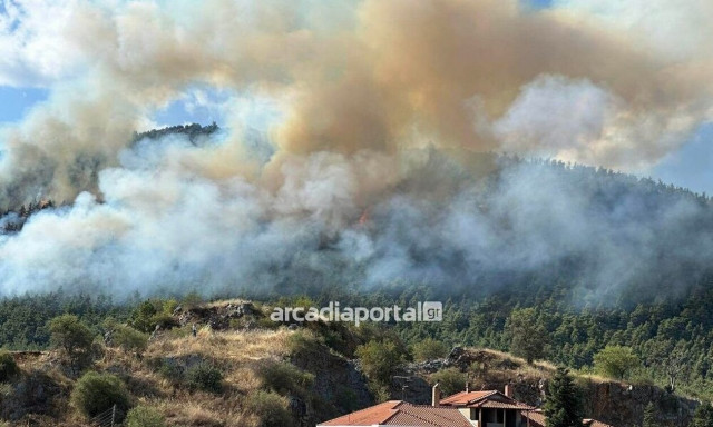 Φωτιά στην Τρίπολη: Καίγεται πευκοδάσος στις παρυφές του Μαίναλου