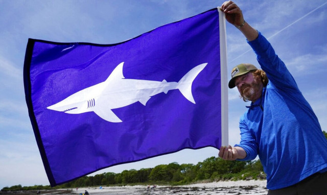Τι συμβουλεύουν οι ειδικοί για τις επιθέσεις καρχαρία
