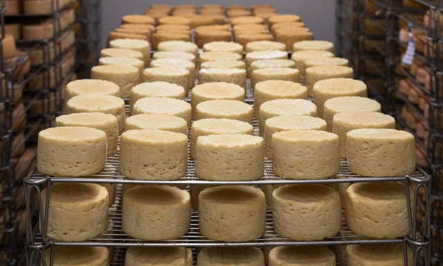 Τραγωδία στην Ιταλία: Άνδρας καταπλακώθηκε από 15.000 «ρόδες» τυριού παρμεζάνας