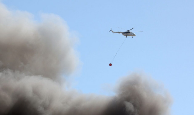 Φωτιά στη Στυλίδα: Επιχείρησαν επίγειες και εναέριες δυνάμεις