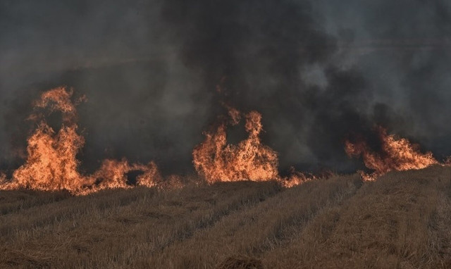 Πυρκαγιά στην Τρίπολη: Προφυλακίστηκε 29χρονος – Μεταφέρθηκε στο Ψυχιατρικό Κατάστημα των Φυλακών