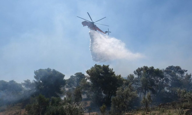 Φωτιά στον Ασπρόπυργο - Επίγεια και εναέρια μέσα στο σημείο