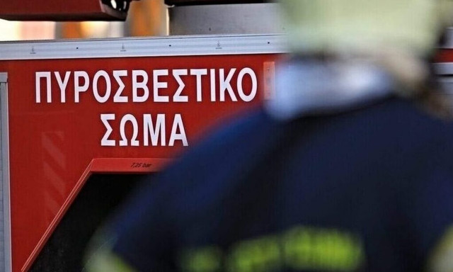 Φωτιά τώρα στην Κάρυστο - Πνέουν ισχυροί άνεμοι