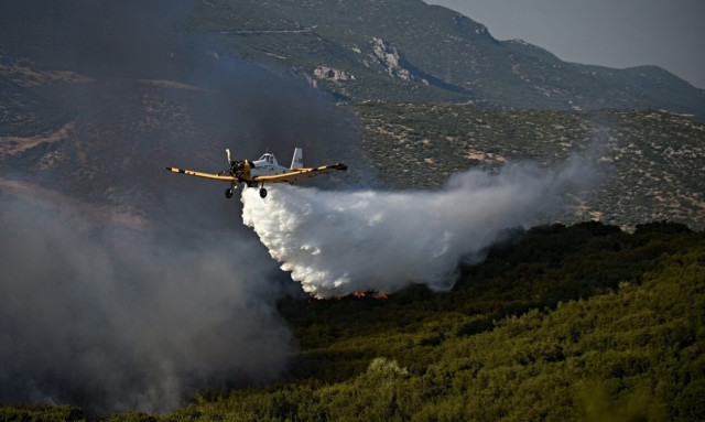 Φθιώτιδα: Φωτιά τώρα στον Δήμο Οπουντίων