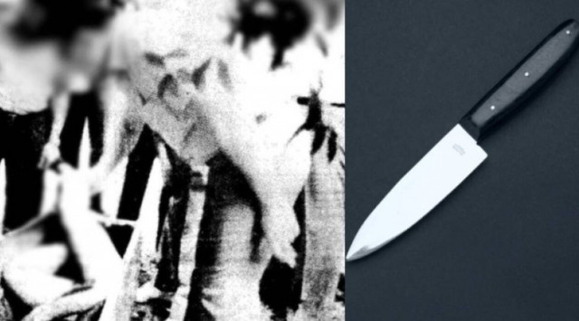 Το άγριο έγκλημα με πρωταγωνιστές δύο φαντάρους και οι 58 μαχαιριές: «Μου έλεγε, έλα να τη βρούμε»