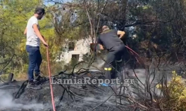 Φθιώτιδα: Συναγερμός στο Θεολόγο για πυρκαγιά μέσα στα σπίτια