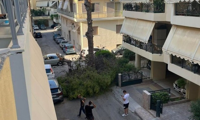 Ηράκλειο: Έπεσε δέντρο σε γειτονιά - Από θαύμα γλίτωσαν περαστικοί