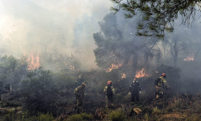 Πυροσβεστική: Σε γενική επιφυλακή - 53 πυρκαγιές το τελευταίο 24ωρο
