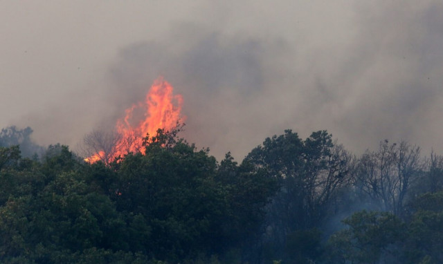 Φωτιά στην Αλεξανδρούπολη: Μαίνεται ανεξέλεγκτη για 2η ημέρα σε τρία μέτωπα
