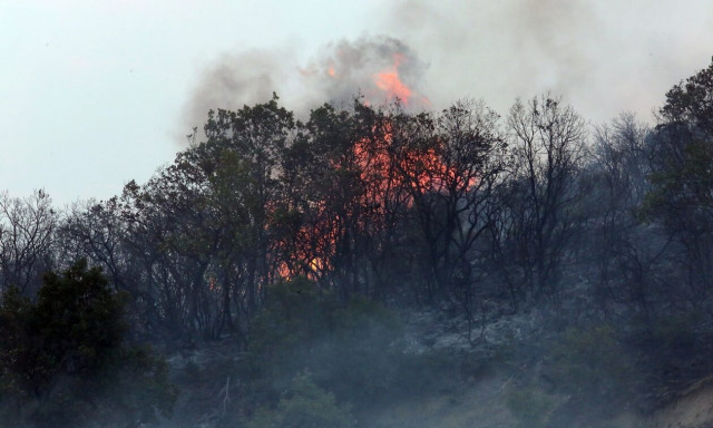 Φωτιά στην Αλεξανδρούπολη: Νέο μήνυμα από το 112 - Δύσκολη η μάχη με τις φλόγες σε δύο μέτωπα