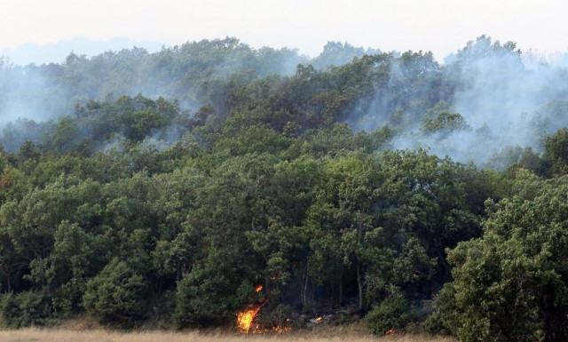 Φωτιά στην Αλεξανδρούπολη: Εκκένωση ακόμη δύο οικισμών