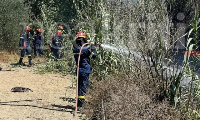 Κρήτη: Φωτιά «ξέσπασε» στα Πεζά Ηρακλείου – Κατασβέστηκε αμέσως από την Πυροσβεστική