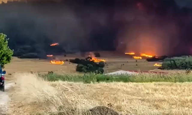 Έβρος: Νεκρός μετανάστης από τη φωτιά στο Δάσος της Δαδιάς