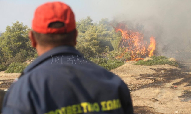 Φωτιά στα Ψαχνά Ευβοίας: Εκκενώνονται η ΒΙ.ΠΕ. Νέας Αρτάκης και ο Βατώντας