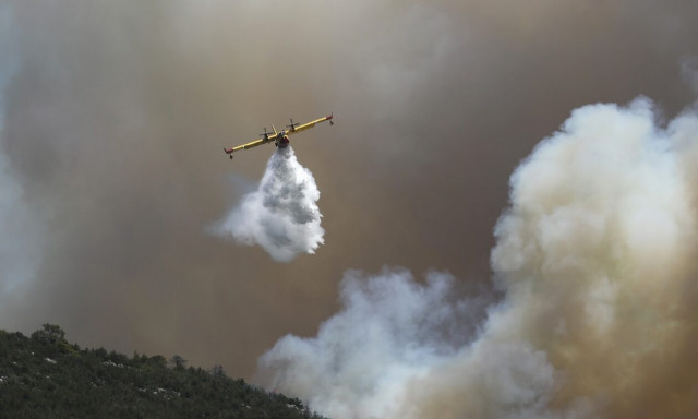 Φωτιά στη Βοιωτία: Ένας νεκρός από την πυρκαγιά - Ήχησε το 112 για εκκένωση και ετοιμότητα