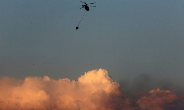 Φωτιά στην Αλεξανδρούπολη: Κυβερνητικό κλιμάκιο μεταβαίνει στην περιοχή