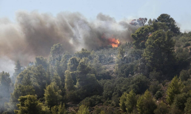 Φωτιά, Βοιωτία, Πρόδρομος 