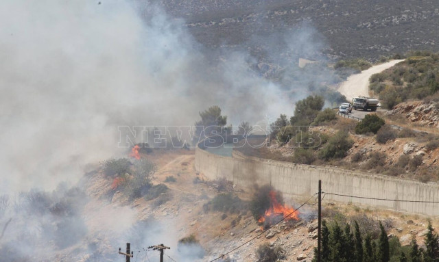 Φωτιά στη Βοιωτία: Κάηκαν αυτοκίνητα - Συγκλονιστικό οδοιπορικό του Newsbomb.gr