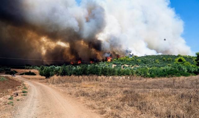 Φωτιά στα Ψαχνά Ευβοίας: Σε ετοιμότητα το Λιμενικό στην Αρτάκη για απομάκρυνση πολιτών