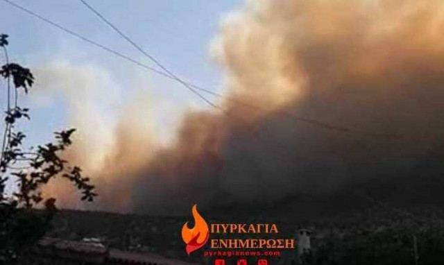 Φωτιά στη Βοιωτία: Συναγερμός από τον Αρτοποιό - «Πολύ μεγάλη προσοχή! Με 9 μποφόρ δεν παίζουμε»