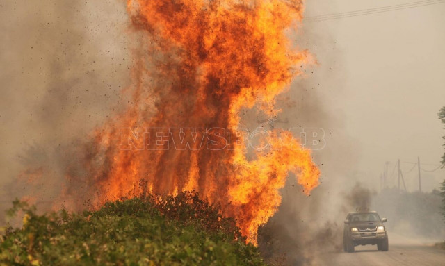 Αποστολή Newsbomb.gr στον Έβρο: Αναζωπύρωση στον δρόμο για Άβαντα - Κάτοικοι παλεύουν μόνοι τους