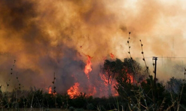 Φωτιά στην Αλεξανδρούπολη: 22χλμ κάλυψε κατά τη διάρκεια της νύχτας το πύρινο μέτωπο