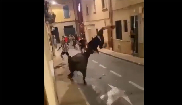 Ισπανία: Ταύρος επιτίθεται σε νεαρό – Η τρομακτική στιγμή που τον πετάει στον αέρα με τα κέρατά του