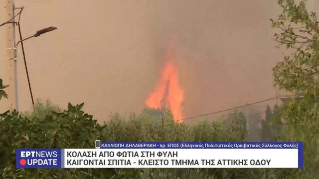 «Δυστυχώς, η πολύπαθη Πάρνηθα ξανακαίγεται»: Συγκινεί η πρόεδρος των Ορειβατών Φυλής