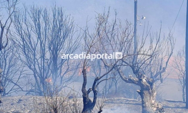 Φωτιά τώρα στην Αγία Σοφία Αρκαδίας - Απειλούνται σπίτια