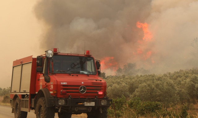 Φωτιά, Αλεξανδρούπολη 