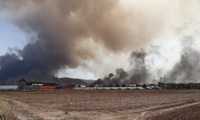 Ασπρόπυργος: Έκαναν πλιάτσικο την ώρα της πυρκαγιάς και τραυμάτισαν αστυνομικούς