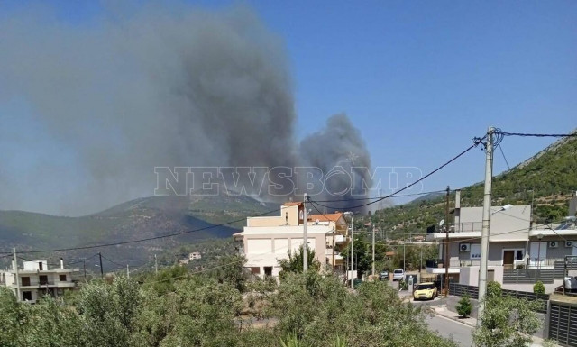 Φωτιά τώρα στη Φυλή: Καίει κοντά στη Μονή Κλειστών
