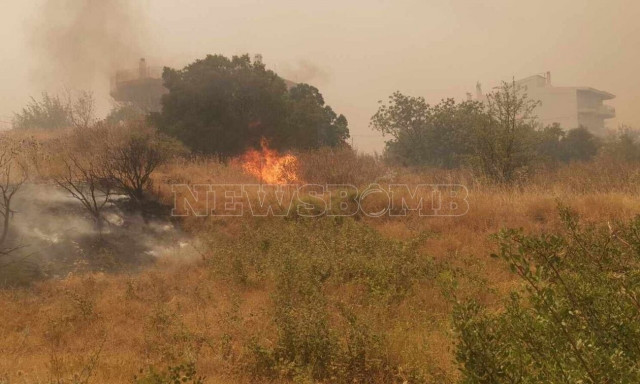 Πρόσθετη ευρωπαϊκή βοήθεια στη διάθεση της Ελλάδας για τις πυρκαγιές