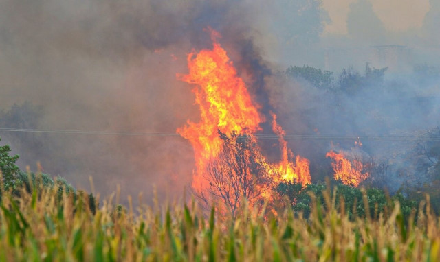 Φωτιά στη Χαλκιδική: Κοντά στον Πολύγυρο οι φλόγες - Ισχυροί άνεμοι στην περιοχή