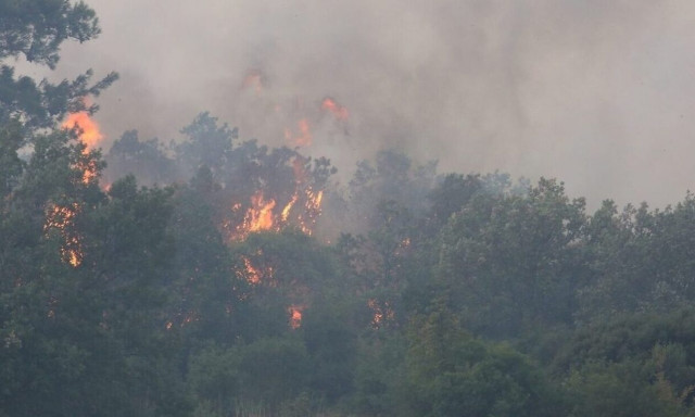 Φωτιά στη Ροδόπη: «Βρέθηκαν εμπρηστικοί μηχανισμοί», καταγγέλει ο αντιπεριφερειάρχης